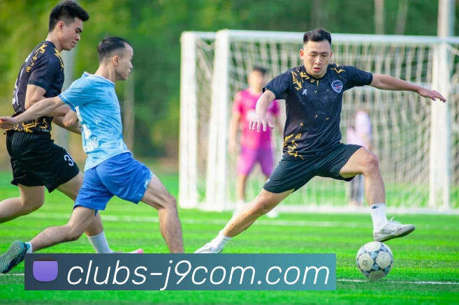 J9COM公司官网平台生态图